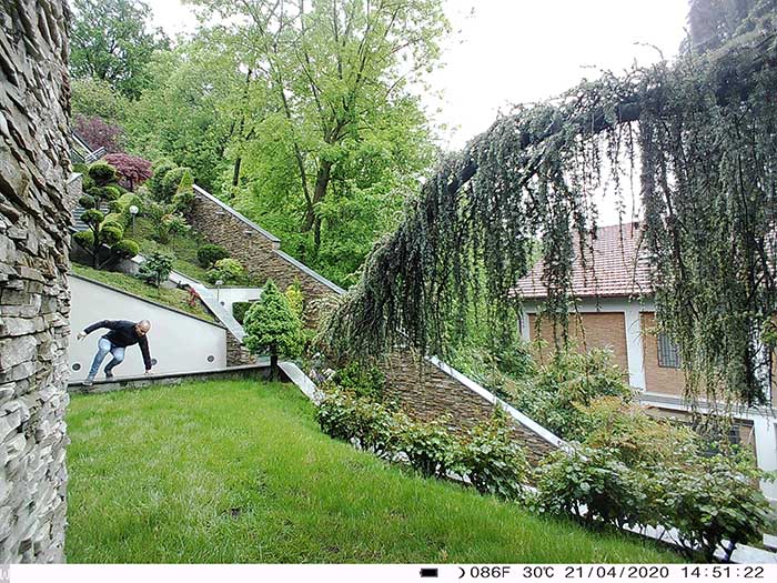 Trial camera picture